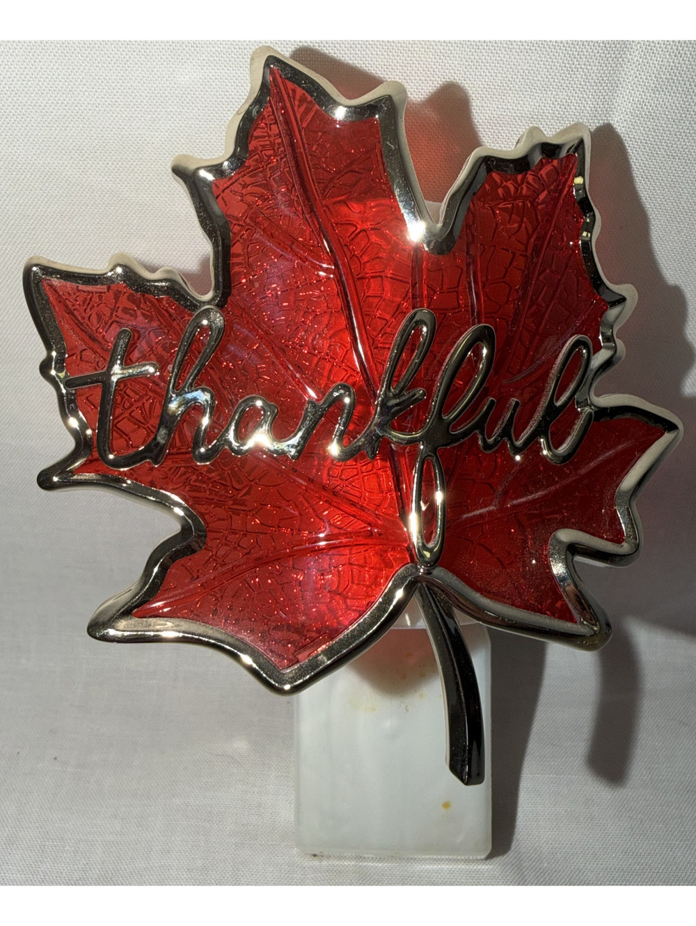 Bath & Body Works Thankful Wallflower Plug
